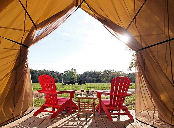 view from interior of tent with two red chairs and two glasses of wine on a side table