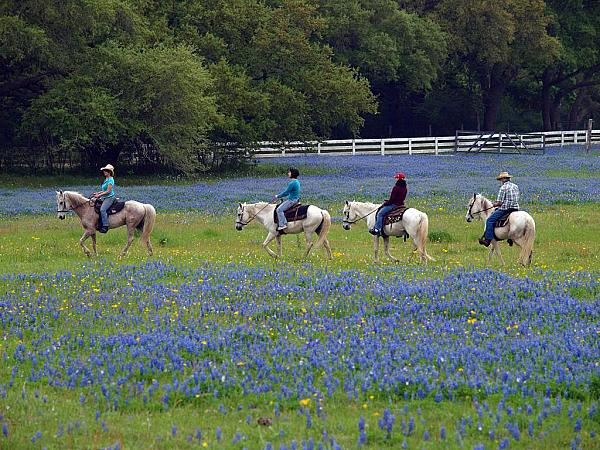 4 people out on a ride through a field of Texas bluebells