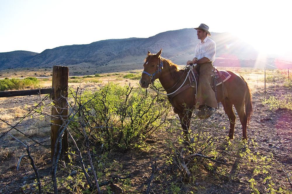 Featured Image - cowboy on chestnut horse
