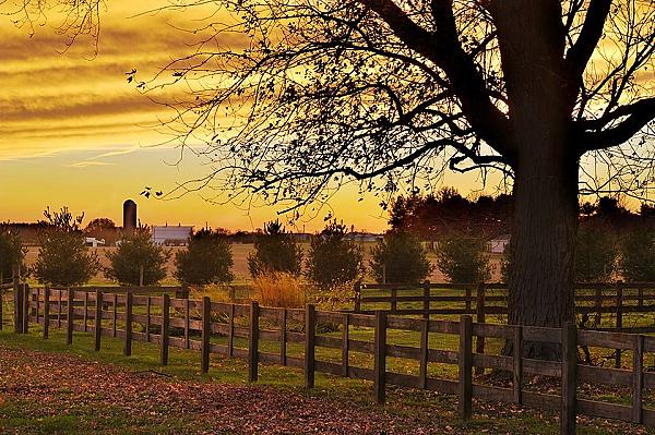 sunset over a farm with barn in the distance
