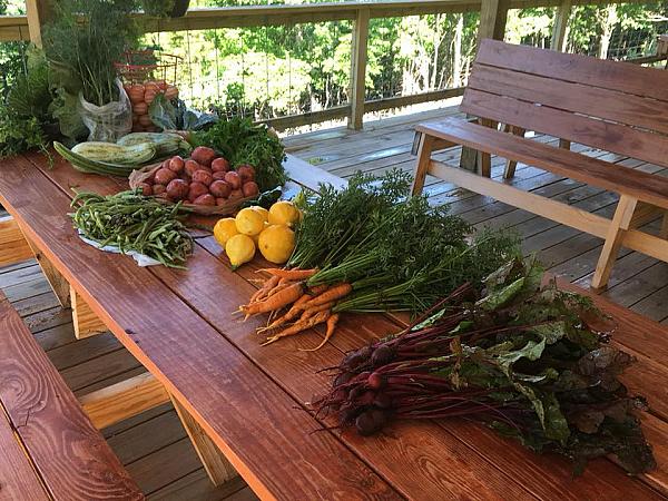carrots, beets, potatoes, squash and beans on wood table
