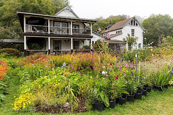 a flower garden with a large farm house behind it