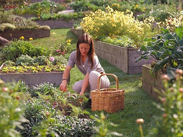 a woman harvesting vegetables outside