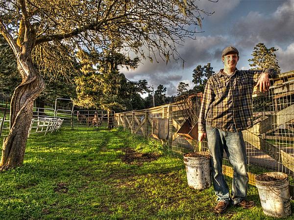 farmer holding bucket under fruit trees