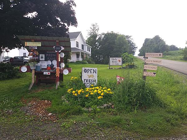 roadside farm stand