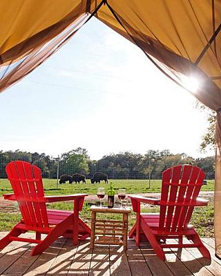 Glamping (yurt, tipi, platform tent)