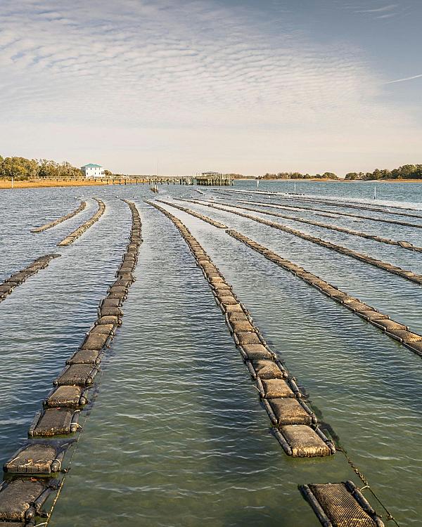 Golden sunset over a Mid-Atlantic meadow with rolling hills, autumn trees, and a winding path through open farmland.