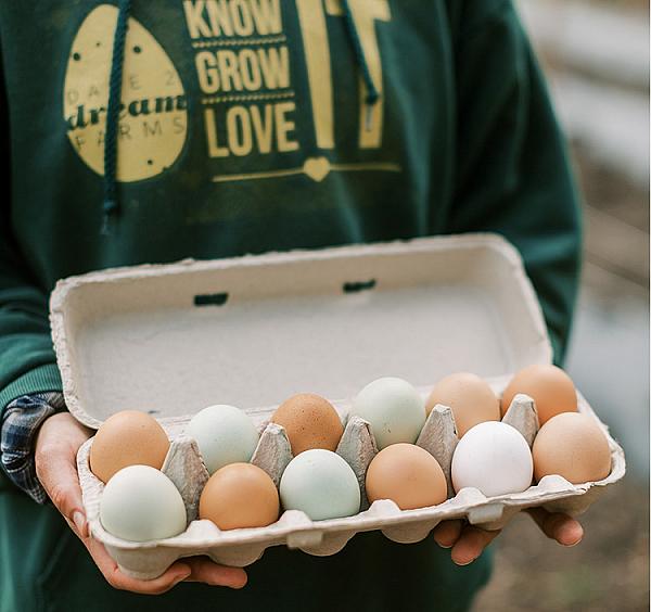 box of dozen eggs held open