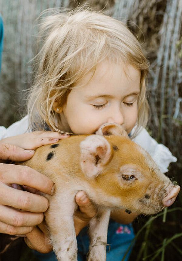 Rolling green farmland with red barns, a silo, and patchwork fields stretching across the Midwest countryside.