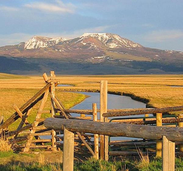 Two sheep standing in a pasture with fences and distant mountains in the background.