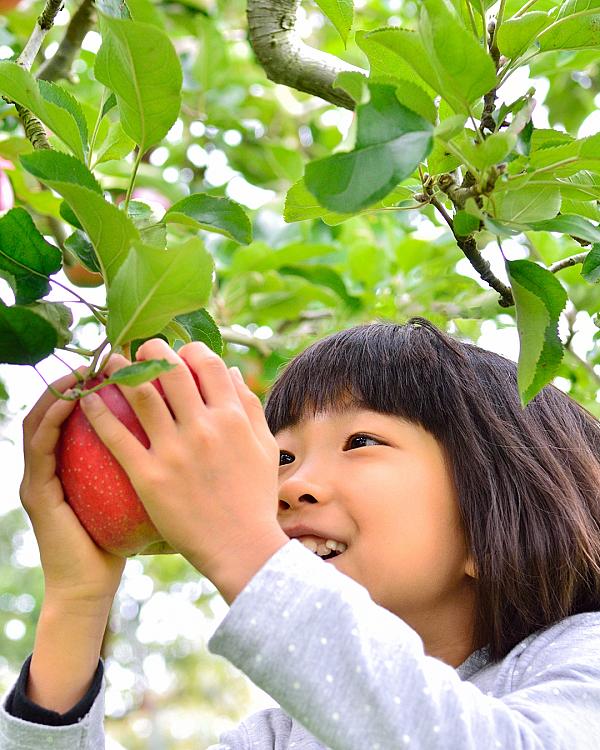 Washington Farm Experiences