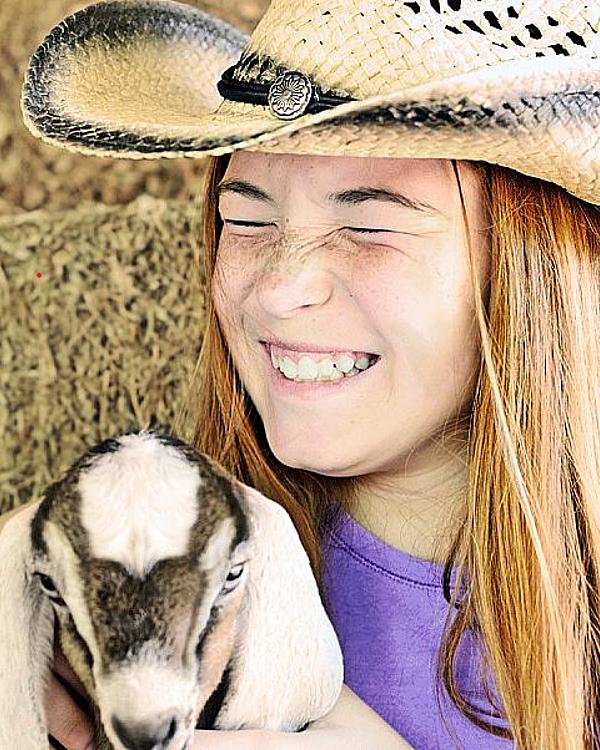 Virginia Farm Adventures