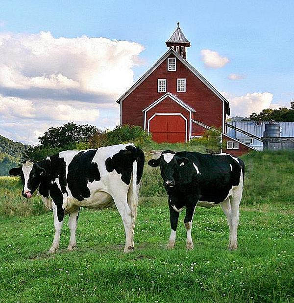 Vermont Farm Country