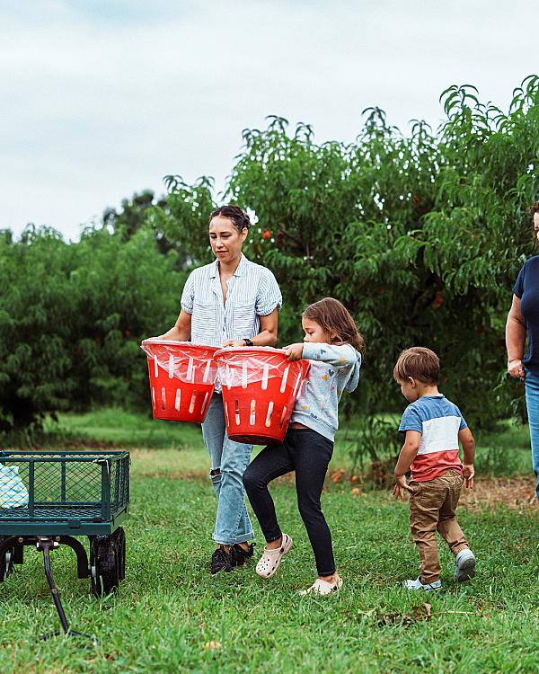 South Carolina Farm Country