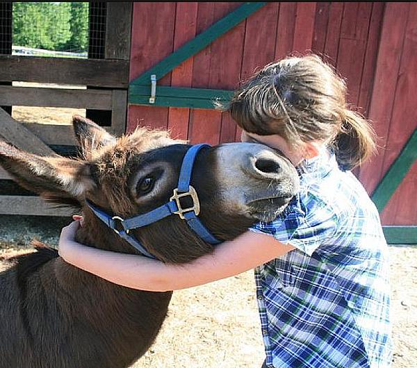 Rhode Island Farm Adventures