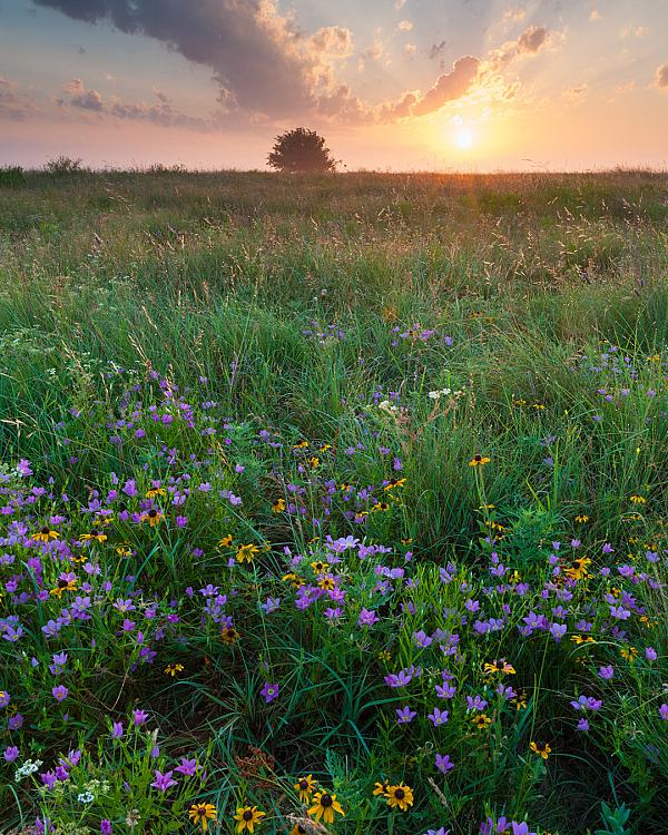 Oklahoma Farm Country