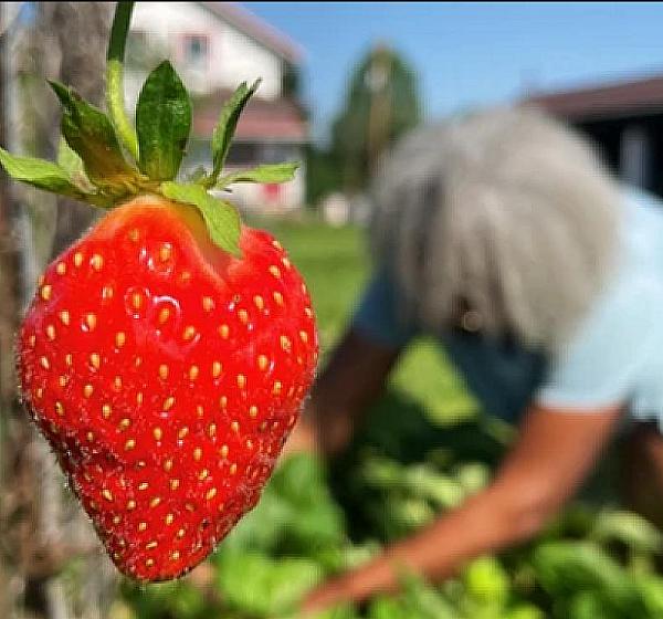 Ohio Farm Adventures