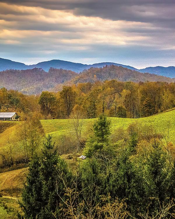 North Carolina Farm Stays