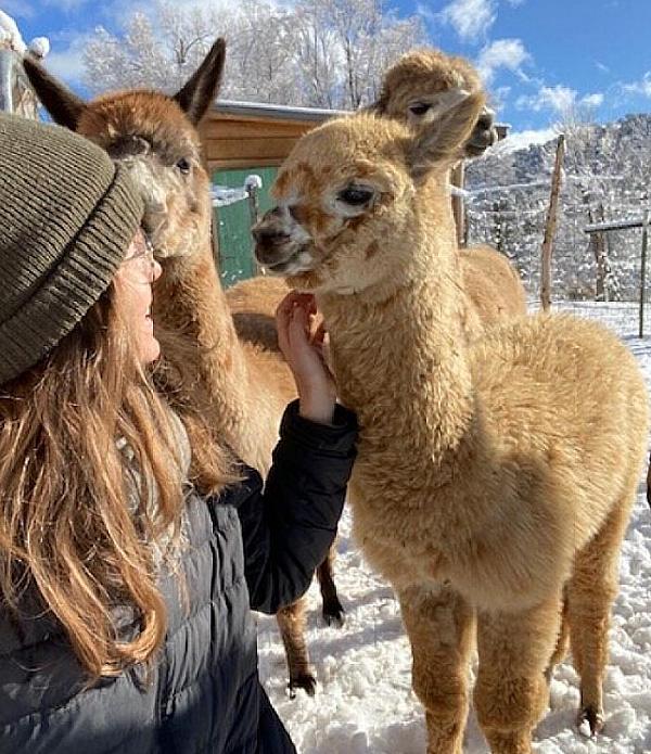 New Mexico Desert Farms