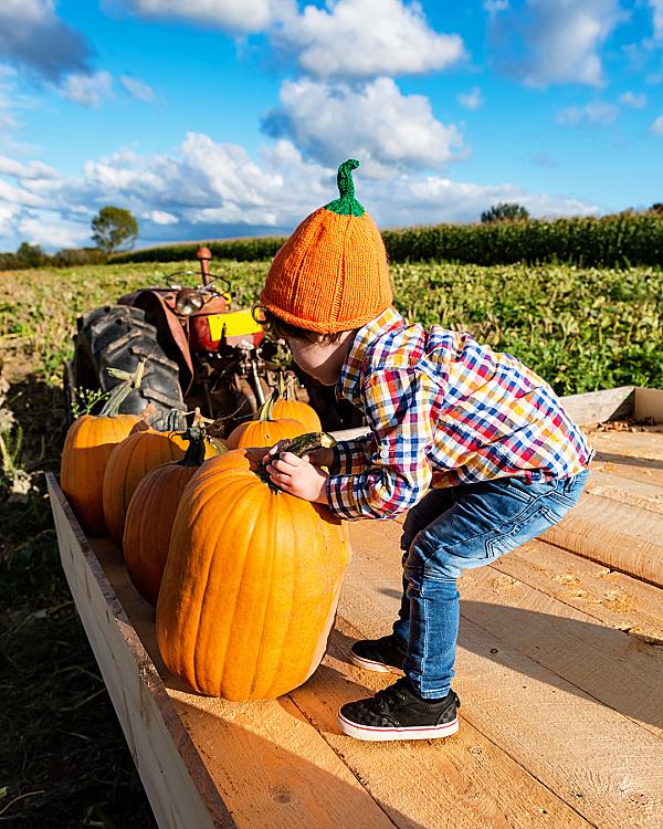New Hampshire Farm Stays