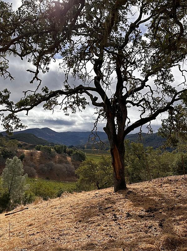 California Farm Experiences