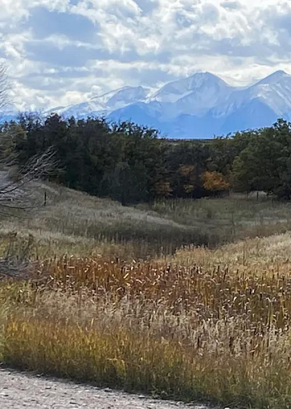 Colorado Mountain Farms