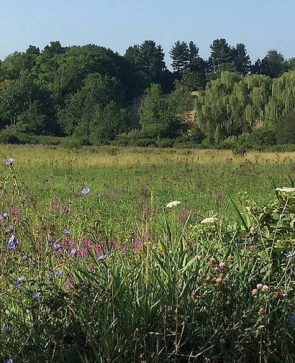 Connecticut Farm Stays