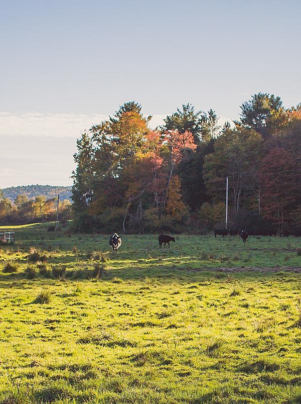 Delaware Farm Adventures