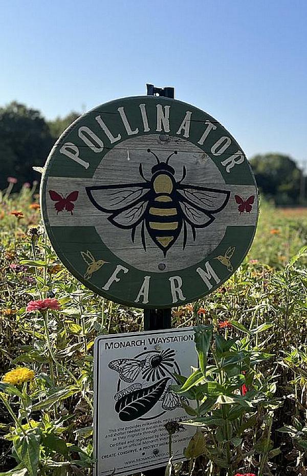 Illinois Farm Country