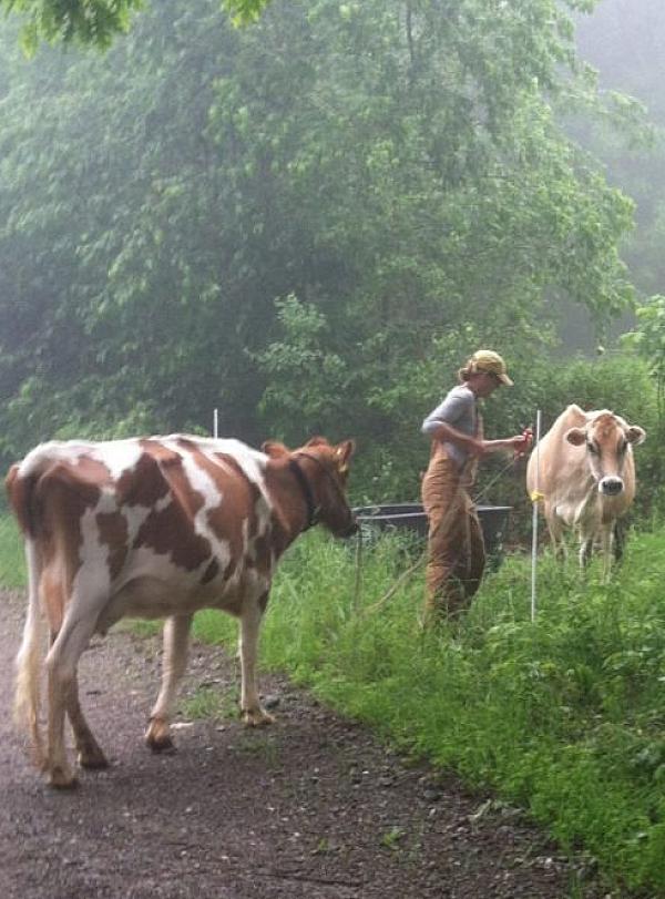Maine Lobster & Farms