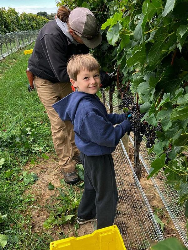 Maryland Farm Country