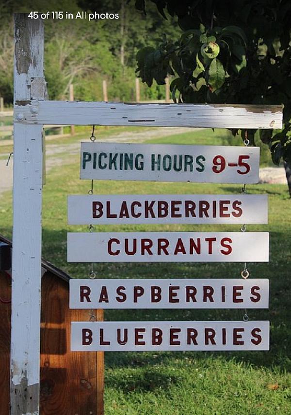 Massachusetts Farm Stays