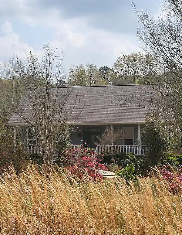 Mississippi Delta Farms