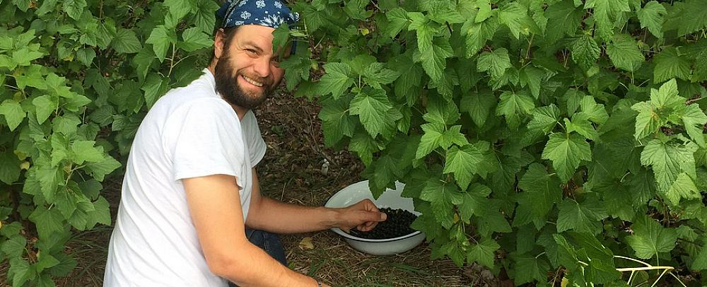 Feature image - Man picking berries and smiling at the camera
