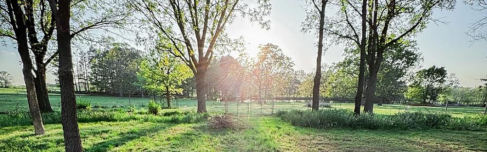 Kandler's Shadow Farms - Cover Image