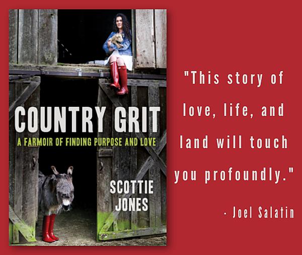 woman sitting in a barn window with red boots holding a lamb and a donkey down below with red boots as well