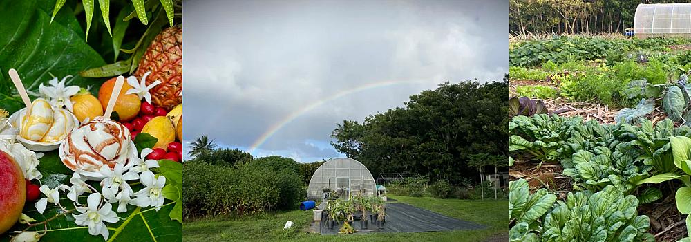 Three pictures of ice cream, greenhouse with rainbow and veggie patch