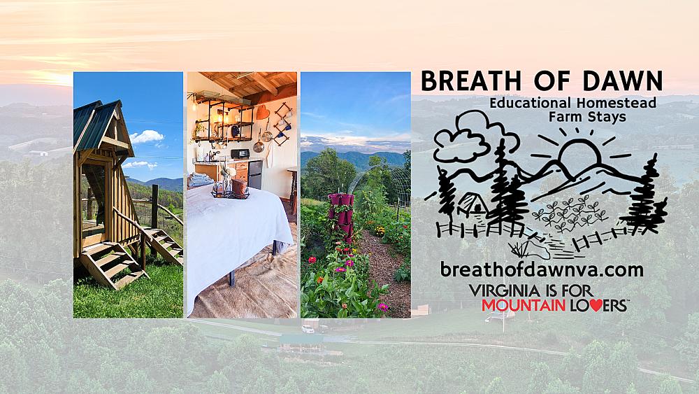 Cabins Background Header Logo