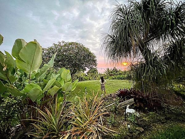 Gingerhill Farm Retreat