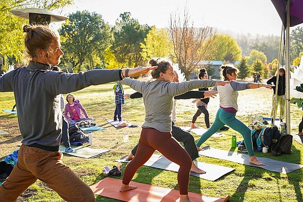 Mandala Spring - Image 2