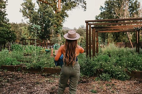 Mandala Spring - Image 6