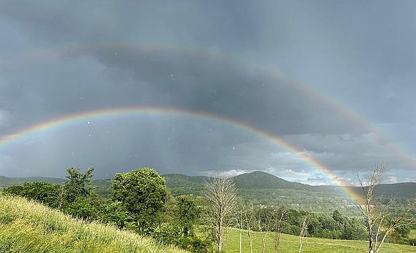 rainbow over a hillside with a pasture