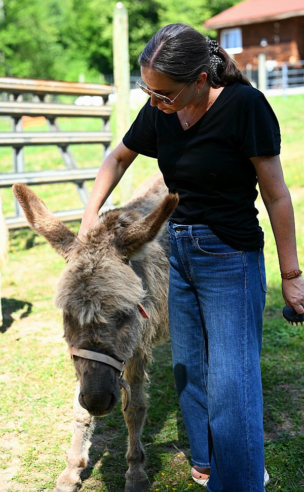 Living Waters Farm and Retreat, LLC - Image 2