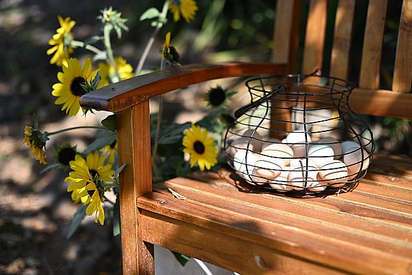 Living Waters Farm and Retreat, LLC