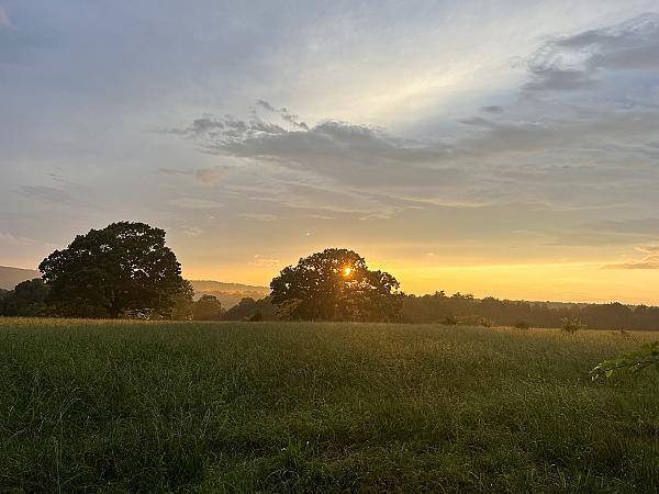 Your Food Farm at Sunnyland