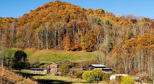 East Fork Farm