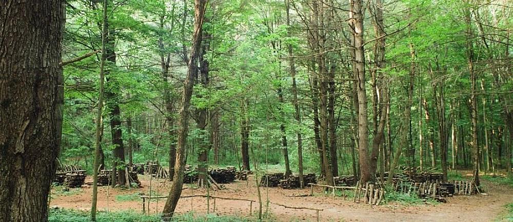 child running at a wooded campsite, people sitting around talking