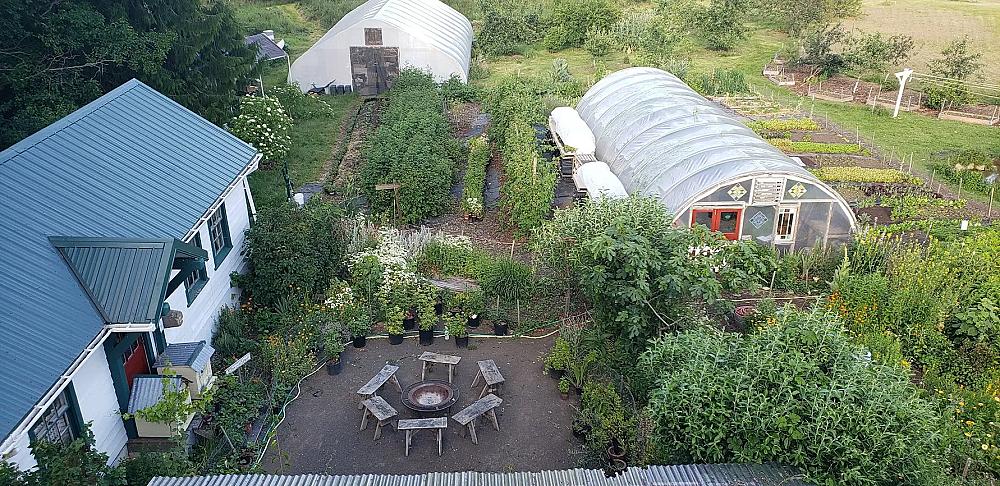 A small part of our expansive permaculture farm. Guests stay under old-growth Maple trees in our enchanting forest, in earshot of our sheep and lambs, near the community kitchen and serene spiral outdoor shower.