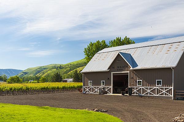 Mongata Winery at Resurgent Vineyard