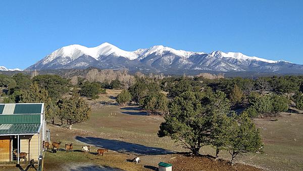 Mountain Goat Lodge Farmstay